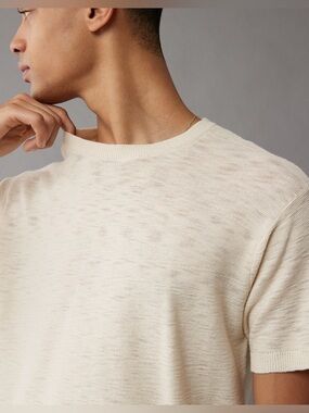 AMERICAN EAGLE MEN BEIGE SHORT-SLEEVE SWEATER T-SHIRT